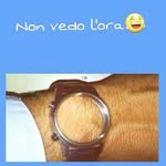 Salvatore Alemanno - @sally_alemanno - Instagram