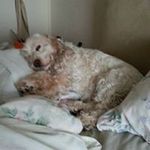Sally Allison - @sally.allison.777 - Instagram