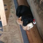 Sally Ashby - @sassy5150_ - Instagram
