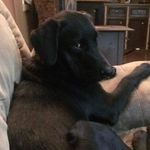 Sally Ashby - @ashby6236 - Instagram