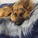 Sally Ashby - Facebook