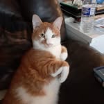 sally j ashby - @sallyjashby - Instagram