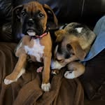 Sally Ayres Hovey - @hoveysally - Instagram