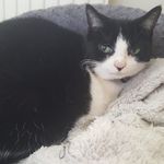Sally Baines - @sally.baines.148 - Instagram
