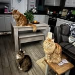 Sally Baines - Facebook