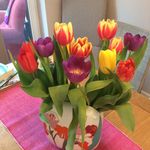 Sally Baines - @sallysarahbaines - Instagram