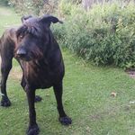 Sally Barlow - @sally.barlow.100483 - Instagram
