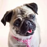 Sally Barlow - @s.bar45 - Instagram