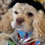 Sally Barlow - @bellesmummysally - Instagram