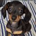 Sally Barnett - Facebook