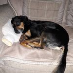 Sally barnett - @sallybarnett477 - Instagram