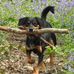 Sally Barnett - Facebook