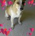 Sally Barnett - Facebook