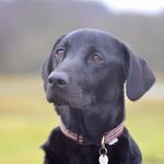 Sally Barnett - @barnett_sally - Instagram