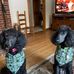 Sally Barney - Facebook