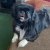 Sally Barr - Facebook