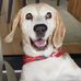 Sally Barr - Facebook