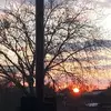 Sally Barry - @sally.barry11 - TikTok