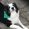 sallybartlett8 - @sallybartlett8 - TikTok