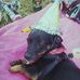 Sally Bateman - Facebook
