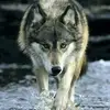 Sally Becker - @sally.becker0 - TikTok