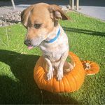 Sally Benedict - @sally.benedict.1 - Instagram