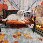 Sally K Benedict - @sallykbenedict - Instagram