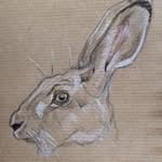 Sally Benn - @sallybenn - Instagram