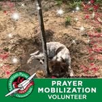 Sally Benson - @sally.benson.58555 - Instagram