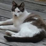 Sally Benson - @sallybenson3113 - Instagram