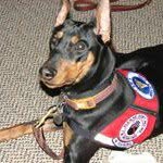 Sally Benson - @gp911hero - Instagram