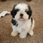 Sally Benson - @sallybenson105 - Instagram