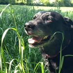 Sally Benson - @sallybenson09 - Instagram