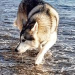 SAlly Best - @sallybest848 - Instagram