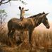 Sally Beyer - Facebook