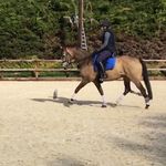 Sally Beyer - @snow.flake.36 - Instagram