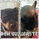 molly_mickan - @sally_bliss - Instagram