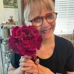 Sally Bode - @sallybode213 - Instagram