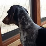 Sally Bodem - @sallybodem - Instagram