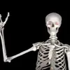 Sally Bones - @sally.bones0 - TikTok