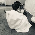 Sally Booth - @sfkbooth - Instagram