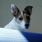 Salli Bothwell - Facebook