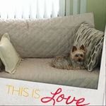 Sally Botkin Sands - @salwaynbrightnet - Instagram