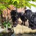 Sally Boucher - Facebook