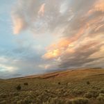 Sally Bowden - @d.e.s.e.r.t.p.e.a.c.h - Instagram