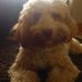 Sally Bower - Facebook