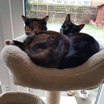 Sally Bowker - @saldoris - Instagram