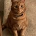 Sally Bramley-brown - Facebook