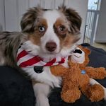 Sally Brandon - @sally_ann_64 - Instagram