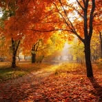 Sally Brass - Facebook